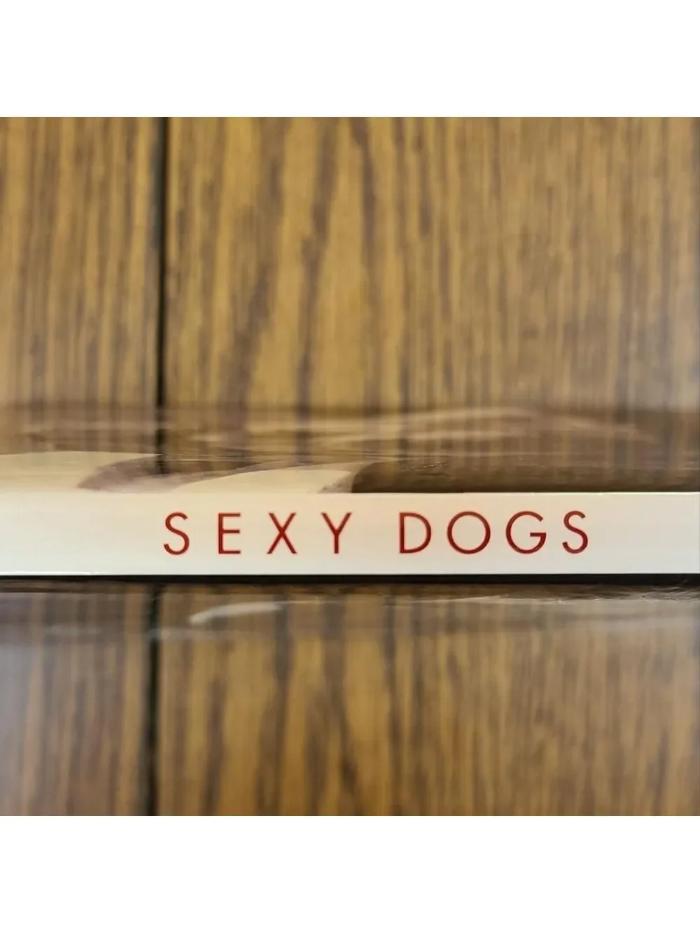 Hardcover Book 'SEXY DOGS' by JC Saures